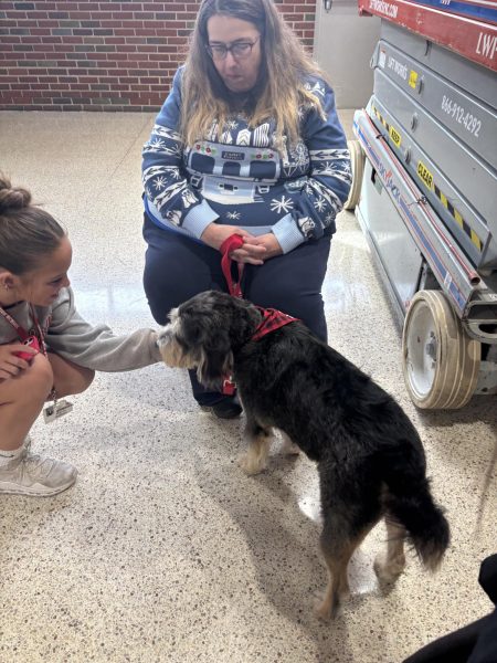 Comfort dogs provide stress relief to students preparing for finals