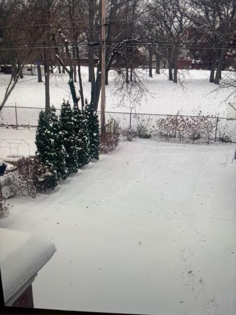 Mount Greenwood is a winter wonderland with more snow on the way