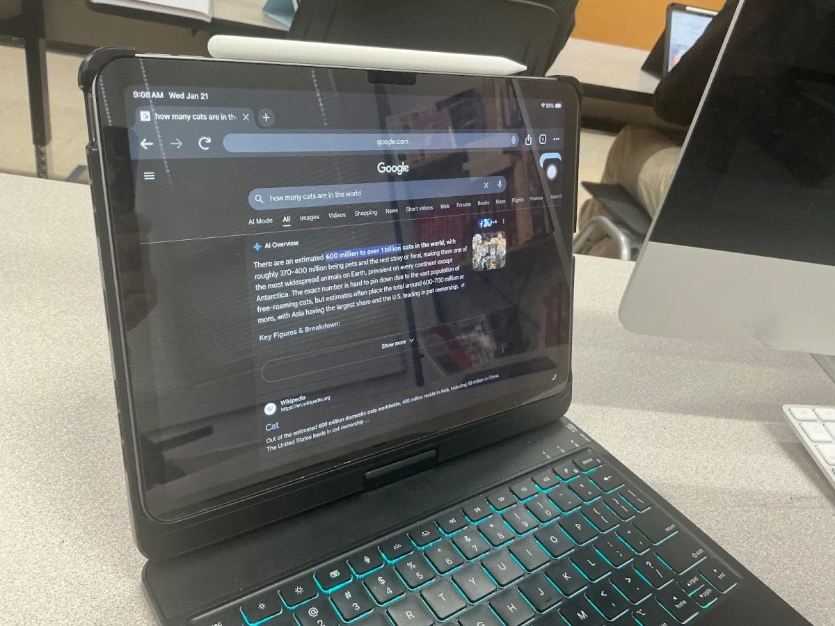 The AI Overview which results from a Google search