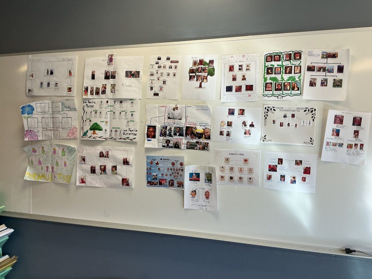 Ms. Maggio’s Academic Spanish class family tree project