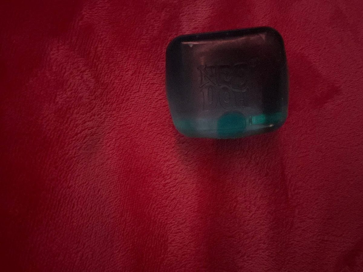 Picture of the trendy NeeDoh nice cube fidget toy