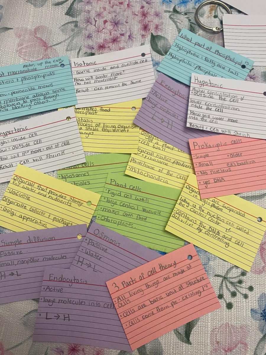 Flashcards made for studying on a biology test